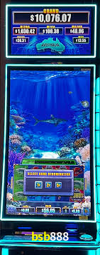 Premium Interface bsb888